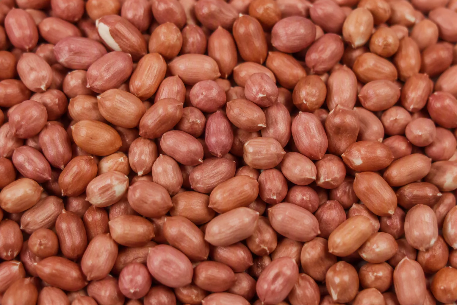 Groundnut Kernels