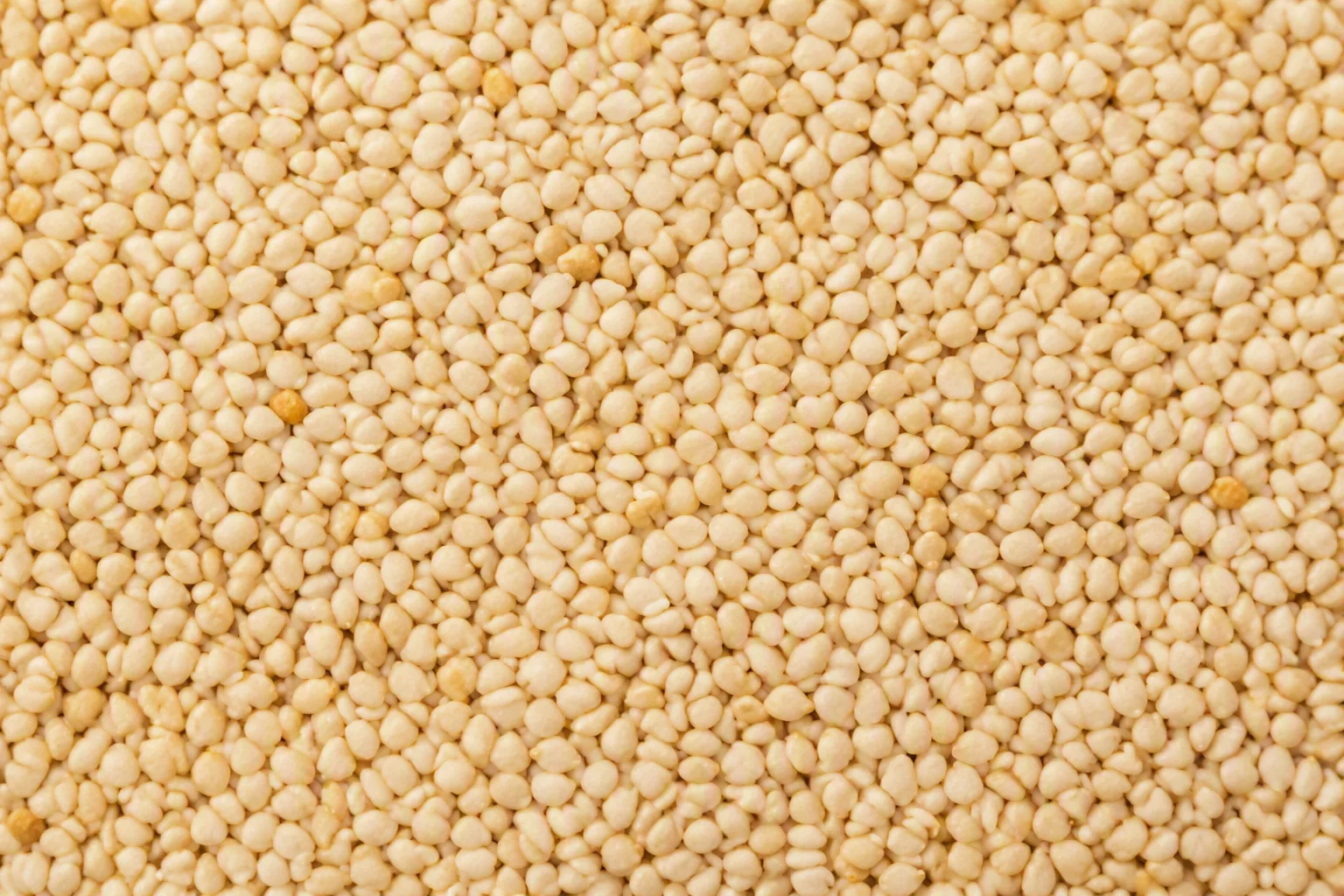 Sesame Seeds