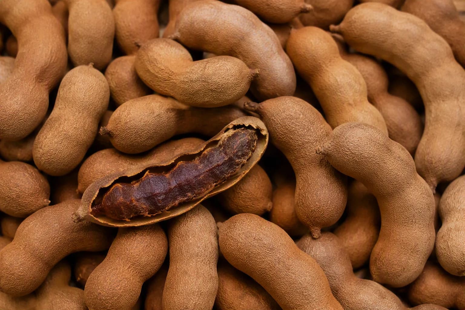Tamarind